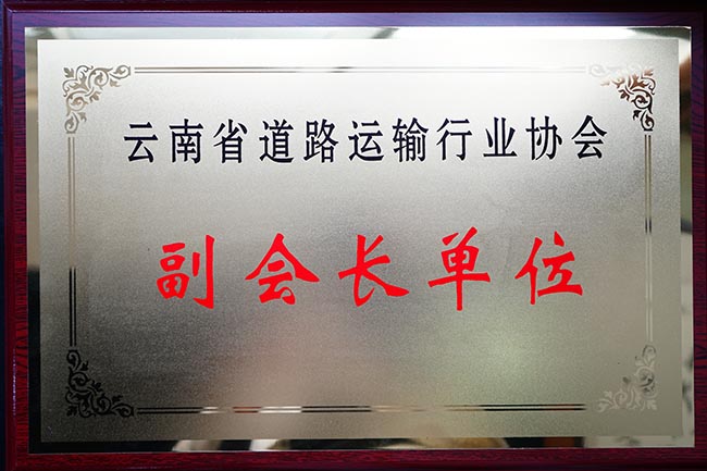 44云南省道路運(yùn)輸行業(yè)協(xié)會(huì)副會(huì)長(zhǎng)單位